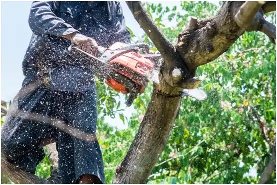 tree services Puget Island